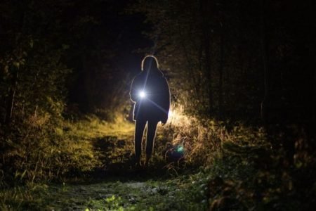 16_ed237-712×370 16_ed237-712x370